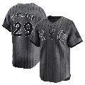 Men's No.29 DJ Stewart New York Mets Limited Graphite 2024 City Connect Jersey